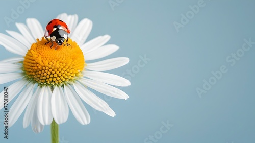 Vibrant Ladybug on a Daisy Flower, Nature's Beauty Captured. Perfect for Spring-Themed Designs and Environmental Projects. Serene and Delicate. AI