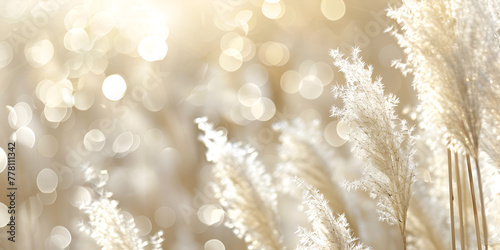 Grass Reed background with bokeh blurred lights 