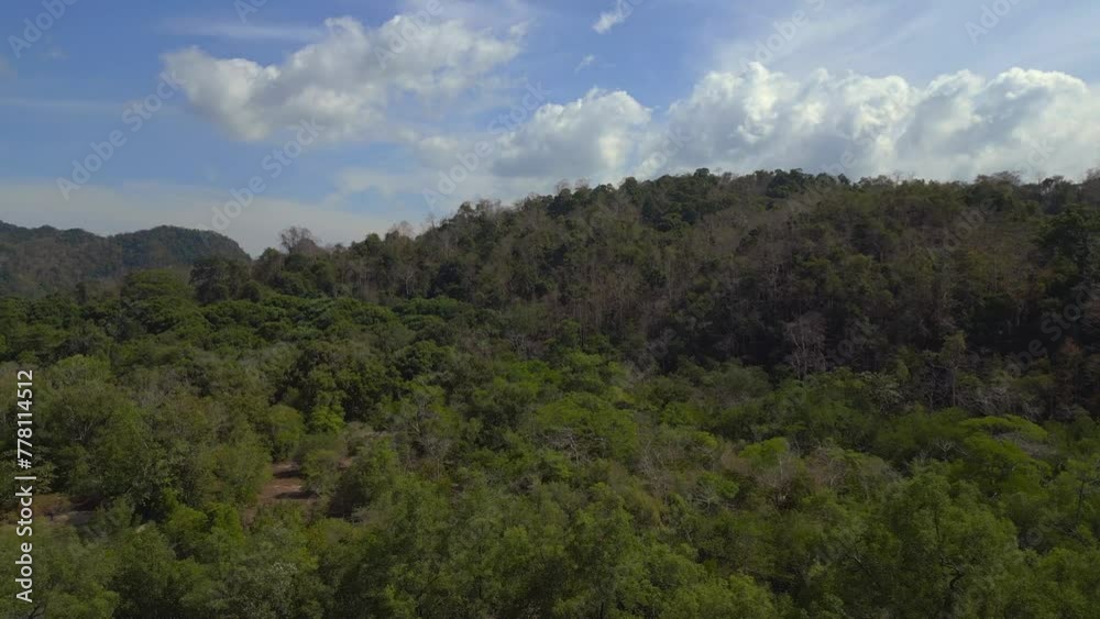 Serene river view, lush greenery cloudy sky. Nice aerial top view flight drone Serene river view, lush greenery cloudy sky. Nice aerial top view flight drone