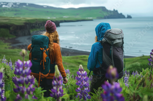 Couple admiring beautiful summer landscape of Icelandic nature with blooming lupine flowers. Northern Europe, Iceland.