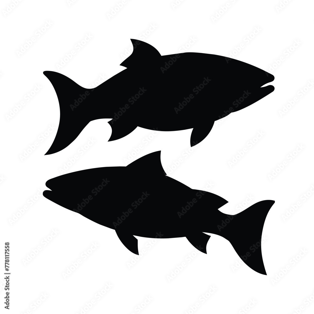 silhouette of a salmon fish on white silhouette of a salmon fish on white