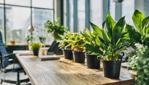 Modern office space with lush green plants in pots. Innovative startup company with green, ecofriendly environment with lush vegetation in workplace. Productive and healthy work place