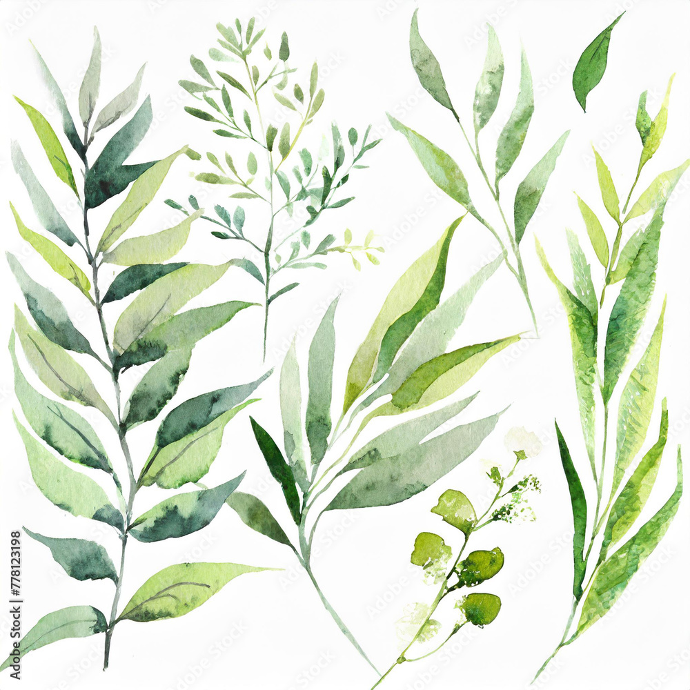Wild field herbs plants. Watercolor individual isolated elements set - illustration with green leaves and branches. Wedding stationery, wallpapers, fashion, backgrounds, textures.