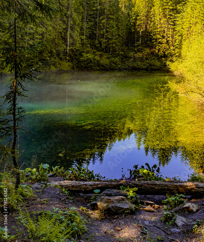 Fototapeta Naklejka Na Ścianę i Meble -  forest lake in the first rays of the morning sun, clear water, mountain lake, green trees, dawn on the lake