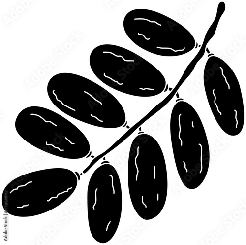 tropical illustration medjool silhouette fruit logo green icon date outline food palm tree sweet leaf brown dry harvest heap shape branch jerked preserved for vector graphic background