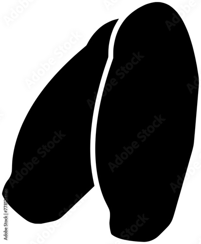 tropical illustration medjool silhouette fruit logo green icon date outline food palm tree sweet leaf brown dry harvest heap shape branch jerked preserved for vector graphic background