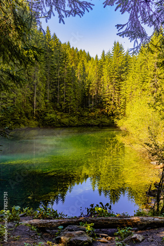 forest lake in the first rays of the sun  morning in the forest  crystal clear water  cold water  mountain lake