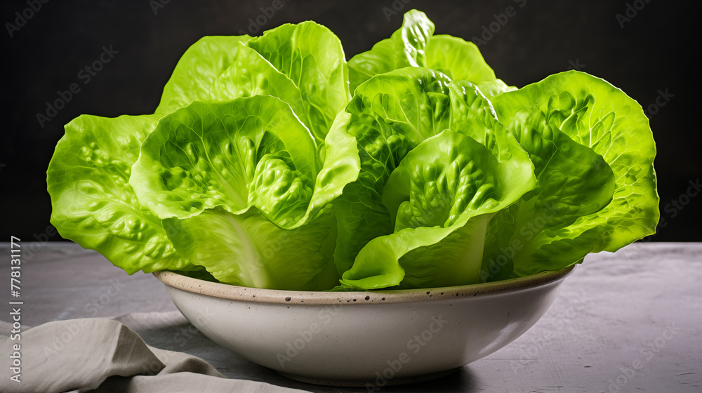 Butterhead lettuce. Green butter lettuce vegetable or salad. Fresh organic green butterhead lettuce growing on a natural farm Butterhead lettuce. Green butter lettuce vegetable or salad. Fresh organic green butterhead lettuce growing on a natural farm