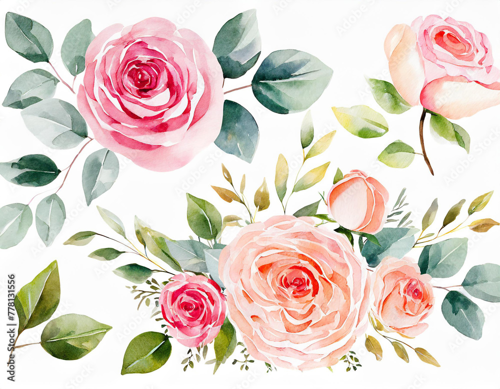 Set watercolor arrangements with garden roses. collection pink flowers, leaves, branches. Botanic illustration isolated on white background.