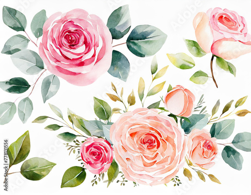 Set watercolor arrangements with garden roses. collection pink flowers, leaves, branches. Botanic illustration isolated on white background.