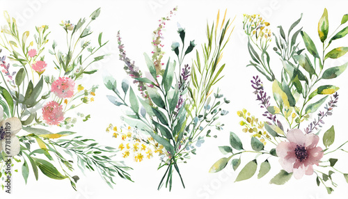 Wild field herbs flowers. Watercolor floral collection set - bouquets, borders, frames. Illustration green leaves, branches.. Wedding stationery, wallpapers, fashion, backgrounds. photo