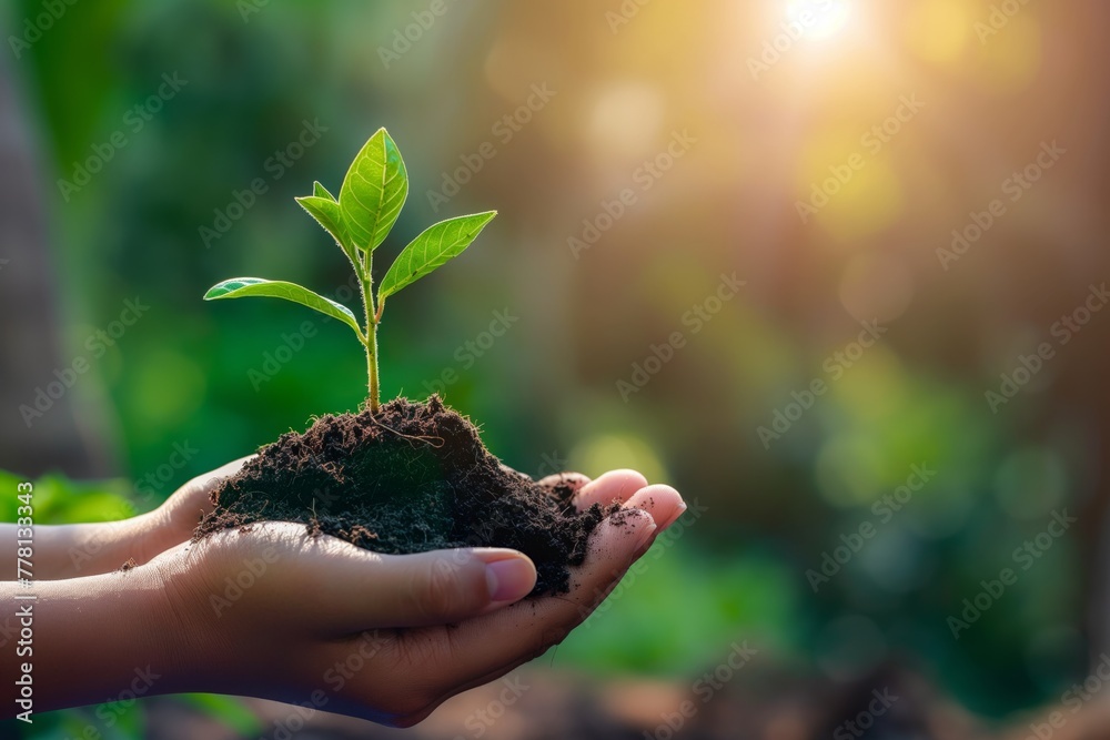 Hands hold a handful of earth with a plant sprout, symbolizing care, environmental friendliness and hope in the process of natural interaction - obrazy, fototapety, plakaty 