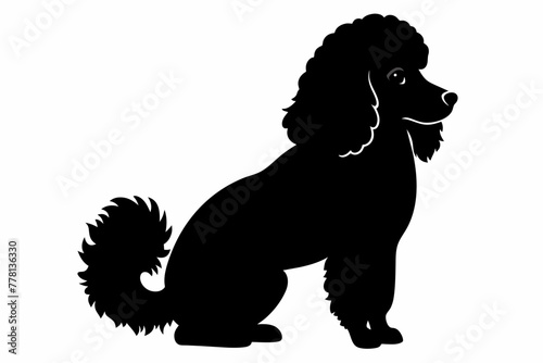 poodle sit down dog silhouette black vector illustration photo