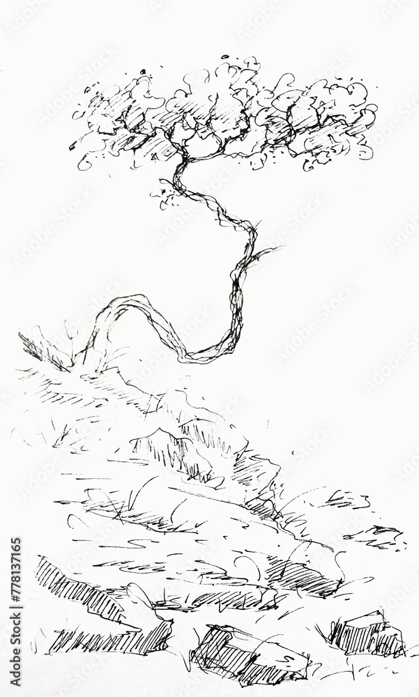 Obraz premium Hand drawn illustration of a tree