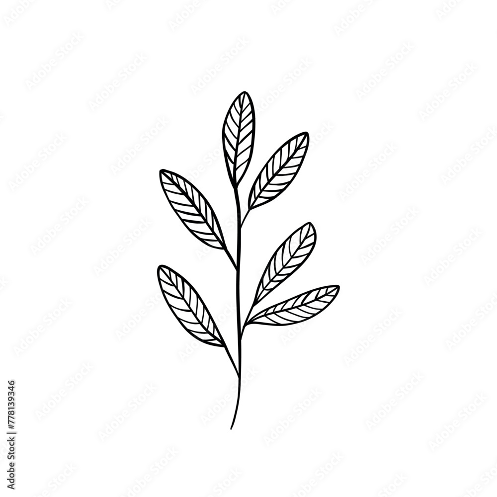 Botanical linear leaf. Abstract minimalist leaves collection, creative herbal art. Vector illustration