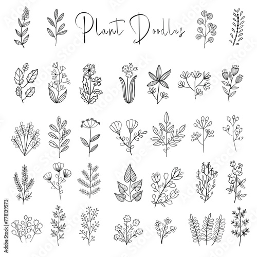 Vector set of house plants in pots, on stand. Isolated template of green cactus, monstera leaves, fern, ficus, zamioculcas. Botanical illustration of bush, branch for home interior. Line art
