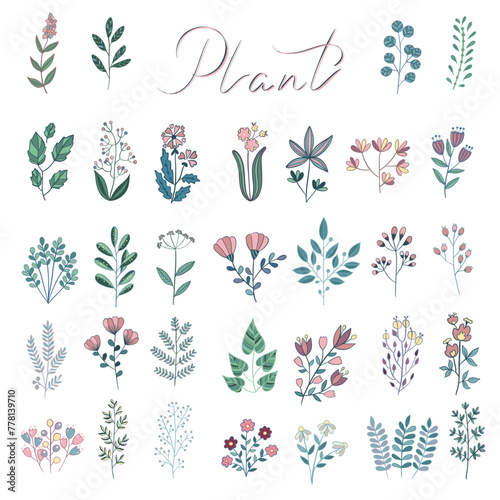 Vector set of house plants in pots, on stand. Isolated template of green cactus, monstera leaves, fern, ficus, zamioculcas. Botanical illustration of bush, branch for home interior. Line art