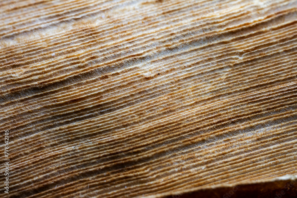 Extreme closeup of an old book from the side Extreme closeup of an old book from the side