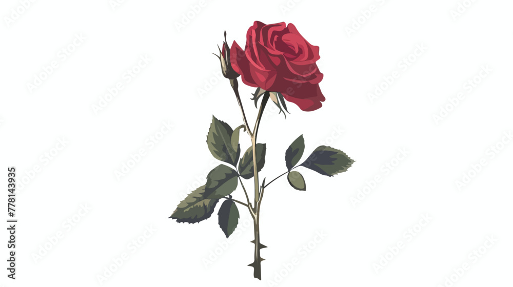 Red rose flower vector illustration on isolated white