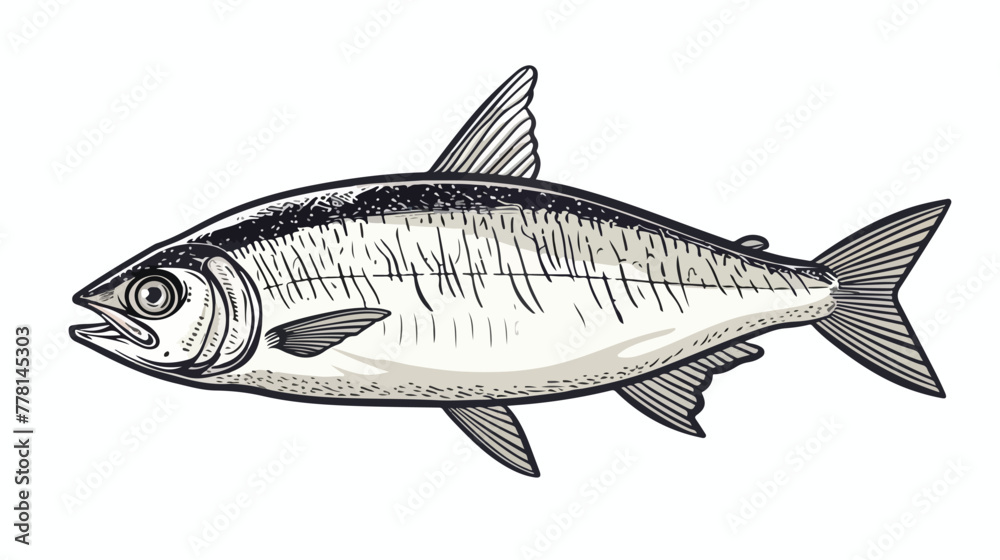 Sardine fish Vector illustration  Hand drawn  Out l