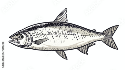 Sardine fish Vector illustration Hand drawn Out l