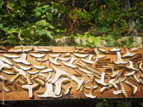 Dried porcini mushrooms on a wooden table