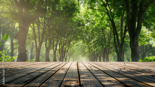 Green forest with trees and wooden floor background