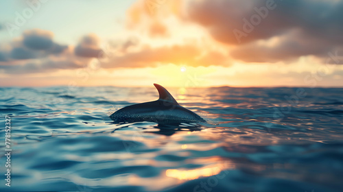 Amidst a tranquil seascape, a dolphin emerges gracefully, its form elegantly blurred against the backdrop of a serene horizon © MistoGraphy