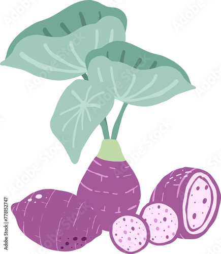 taro elements