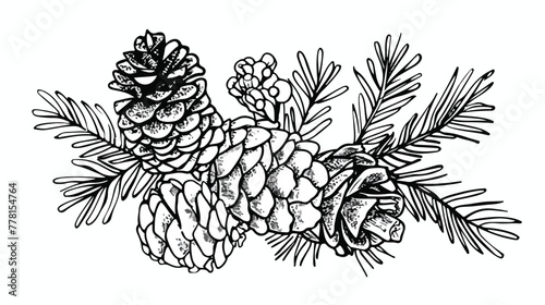 Fototapeta Naklejka Na Ścianę i Meble -  Vector hand drawn outline illustration of pine or fir