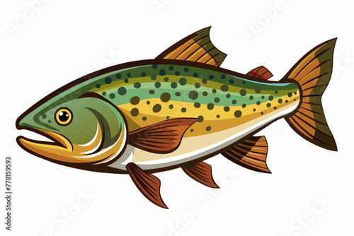 trout--fish-vector illustration 