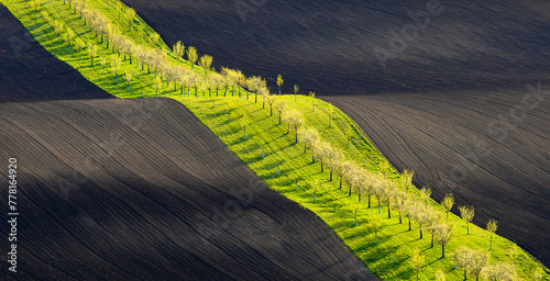 Fototapeta Naklejka Na Ścianę i Meble -  Moravia, spring, field, landscape, biobelts, ribbon,