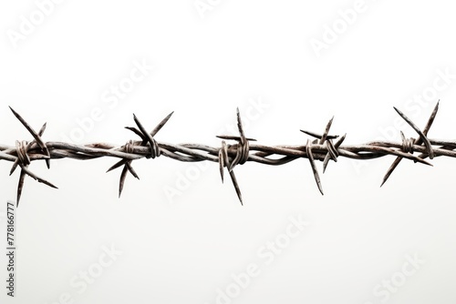 Entwined Chaos: A Close Up of Barbed Wire on a White Background. White or PNG Transparent Background..