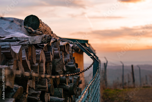 Sonnenuntergang auf einem Weinberg