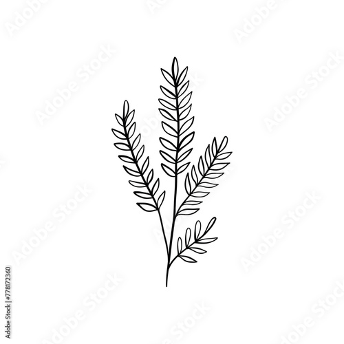 Botanical linear leaf. Abstract minimalist leaves collection, creative herbal art. Vector illustration