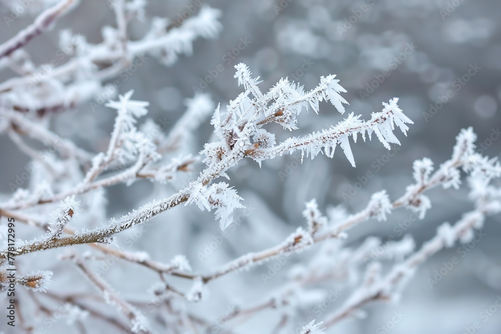 A frosty landscape with delicate ice crystals forming on branches and leaves, showcasing the beauty of nature in its frozen state A frosty landscape with delicate ice crystals forming on branches and leaves, showcasing the beauty of nature in its frozen state