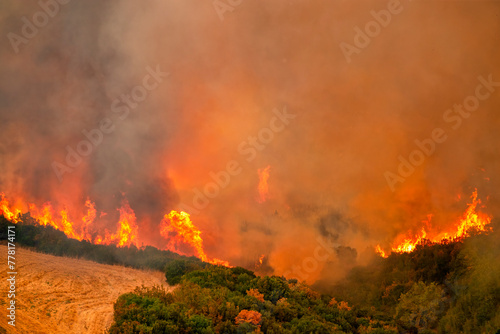 Forest fires in the prefecture of Evros in northern Greece in the biggest fire ever in Europe