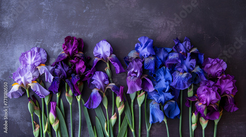 collection of vibrant purple and blue irises against a dark, textured background. photo