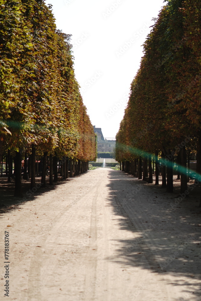 park alley with green trees on each side with a glow of light in hot summer day in the Paris Jardin des Tuileries