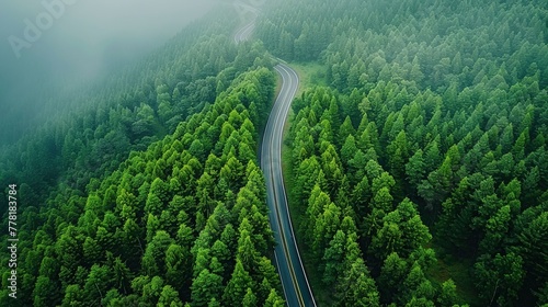 Top view asphalt road and green forest. Ecosystem and ecology healthy environment concepts and background © Mas