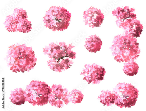 set of cherry blossom cherry, Vector watercolor blooming flower tree or forest top view isolated on white background for landscape plan and architecture drawing,plant for environment or garden
