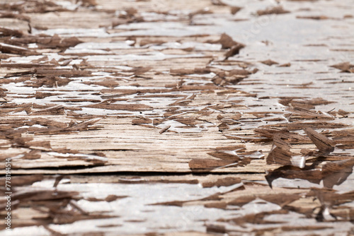 Texture di legname - dettaglio photo