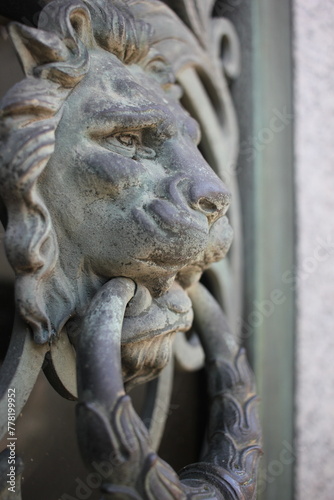 Interesting building detail of a lion holding a door knocker. © Lina