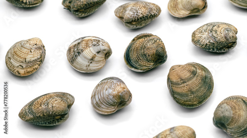 Chamelea gallina,small saltwater clam in the family Veneridae,fished in Italy in the Adriatic Sea,shellfish on white background