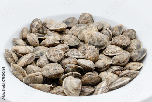 Chamelea gallina,small saltwater clam in the family Veneridae,fished in Italy in the Adriatic Sea,pile of shellfish on a plate photo