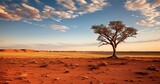 RAW photo, an award-winning National Geographic style HD photograph featuring the striking beauty of the Australian Outback