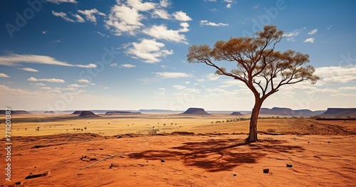 RAW photo, an award-winning National Geographic style HD photograph featuring the striking beauty of the Australian Outback