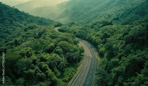 A highway in the middle of a green forest, beautiful scenic view, relaxing, created with AI