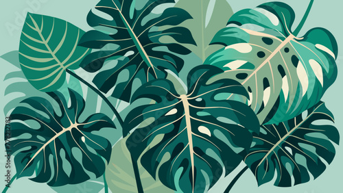 monstera leaves in large quantities. Vector image.
