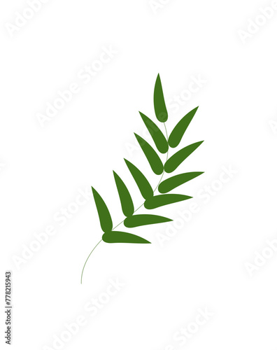 a delicate green branch on a white background